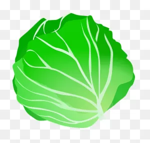 2  Free Kale & Vegetable Vectors