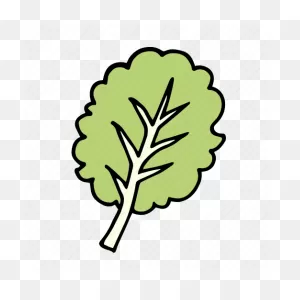 Cook, Food, Ingredient, Kale, Spinach, Vegetable, Veggie Icon ClipartFlare.com 