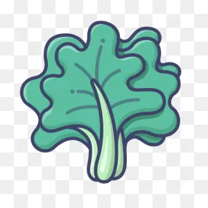 Green, Kale, Leaf, Vegetable Icon - Download On Iconfinder