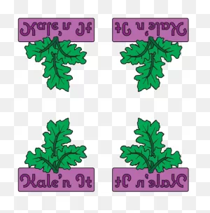 Kale Clip Art - Png Download - Full Size Clipart (#2374306 ClipartFlare.com 