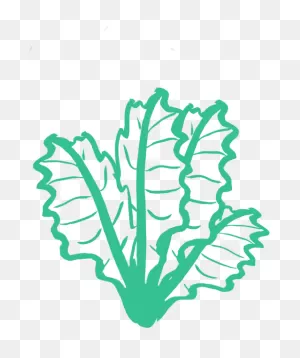 Kale - Kale Silhouette Clipart - Full Size Clipart (#3513618 ClipartFlare.com 