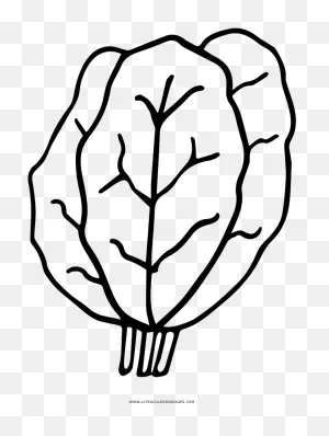 Kale Coloring Page - Drawing Clipart - Full Size Clipart (#3679603 ClipartFlare.com 