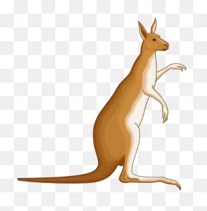 Animal Kangaroo Macropodidae Tail Clipart - Animal Clipart Animals ClipartFlare.com 