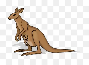 Cartoon Kangaroo Clipart - Cliparts And Others Art Inspiration ClipartFlare.com 