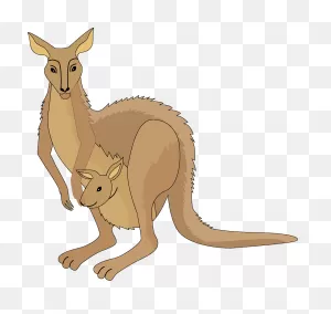 Kangaroo Clipart. Free Download Transparent .png | ClipartFlare