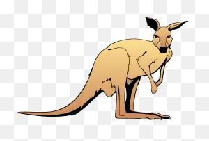 Kangaroo Animal Clipart Free Images - ClipartFlare
