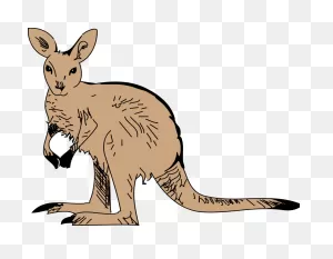 Kangaroo Animal Clipart Pictures Free Org - ClipartFlare