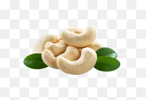 Premium Cashew Nuts W240 250 Gms | Healthy Munch