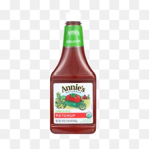 Ketchup Organic
