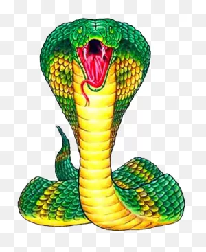 Green Cobra | ClipartFlare – Free Png Library