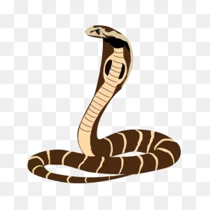 King Cobra Clipart - Animal Clip Arts - ClipartFlare - ClipartFlare
