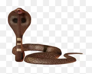 Scary Dark Brown Cobra | ClipartFlare – Free Png Library