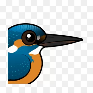Cute Common Kingfisher By ClipartFlare < Meet The Birds