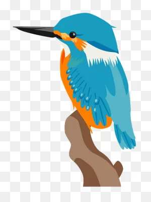 Common Kingfisher Bird Clipart. Free Download Transparent .png ClipartFlare.com 
