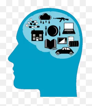 Knowledge Clipart Png - Storage Psychology - (351X405) Png Clipart ClipartFlare.com 