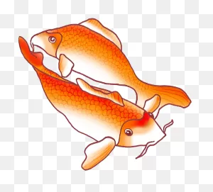 Colorful Koi Fish Drawings - Drawing - (886X854) Png Clipart Download