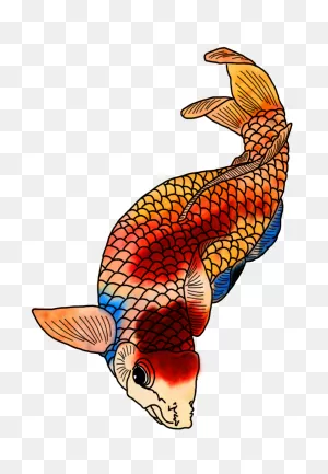 Colorful Koi Fish Drawings
