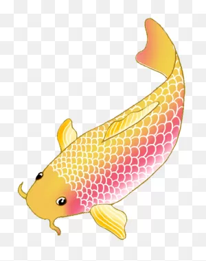 Colorful Koi Fish Drawings Clip Library Download - Koi Fish ClipartFlare.com 