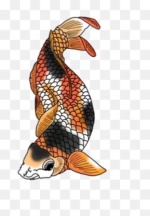 Colorful Koi Fish Drawings