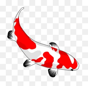 Koi Fish Clip Art At ClipartFlare ClipartFlare.com - Vector Clip Art Online, Royalty ClipartFlare.com 