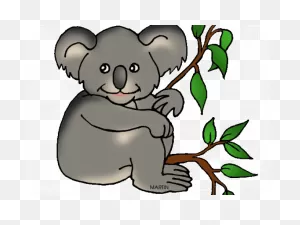 Koala Bear Clipart Phillip Martin - Koala Clip Art - Png Download ClipartFlare.com 