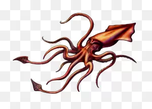 Kraken Transparent Female - Kraken Png Clipart - Full Size Clipart ClipartFlare.com 