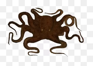 Kraken Clip Art Wall Decal Sticker Octopus - Octopus - Png ClipartFlare.com 