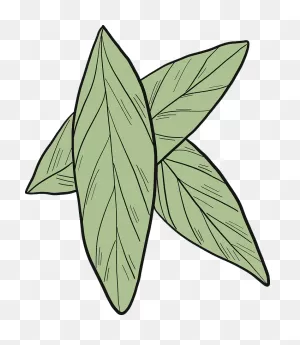 Laurel Leaves Clipart. Free Download Transparent .png | ClipartFlare