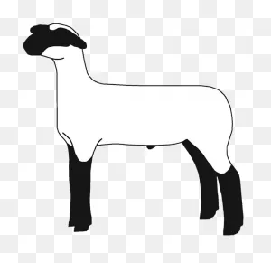 Lamb Clipart Club Lamb - Sheep - Png Download - Full Size Clipart ClipartFlare.com 
