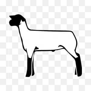 Show Lamb Clip Art 5-Left | Cornerstone Club Lambs