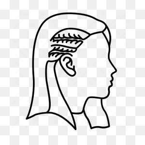 Braided, Hair, Half, Ladies, Plaited, Plaits, Spiral Icon - Download On ClipartFlare.com 