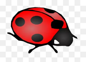 Download Cartoon Ladybug Clip Art Hq Png Image | ClipartFlare