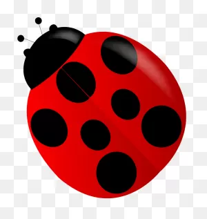 Ladybug Clipart. Free Download Transparent .png | ClipartFlare