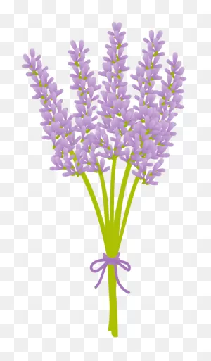 Free Lavender Flower 1190293 Png With Transparent Background