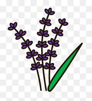 Lavender Clipart. Free Download Transparent .png | ClipartFlare