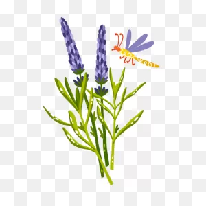 Lavender Stickers - Free Nature Stickers
