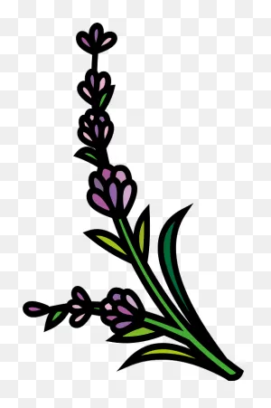 Lavender Clipart. Free Download Transparent .png | ClipartFlare