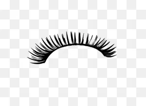 Png Eyelash By Moonglowlilly On  | Eyelashes, Png, Drawings