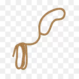 13  Lasso Clipart - Preview : Lasso Clip Art | ClipartFlare