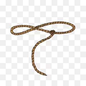 ClipartFlare® – The Official Brand | Swung Lasso
