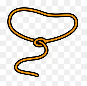 Lasso Clipart. Free Download Transparent .png | ClipartFlare
