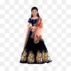 Lehenga Choli Indian Style – The Fashion Prime