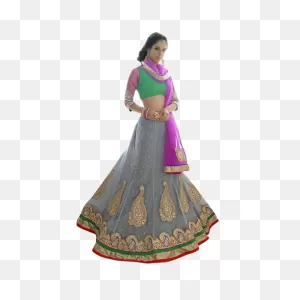 Online Triveni Incredible Grey Colored Border Worked Net Jacquard ClipartFlare.com 