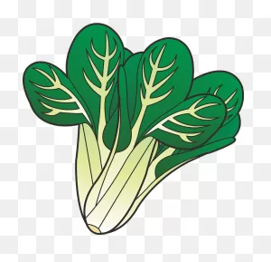 Komatsuna - Leafy Greens Clipart. Free Download Transparent .png ClipartFlare.com 