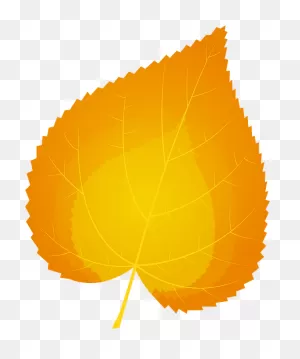 Common Lime Autumn Leaf Clipart. Free Download Transparent .png ClipartFlare.com 