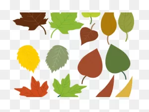 Maple Leaf Clipart Fig Leaves - Drawings Of Fall Leaves - Png ClipartFlare.com 