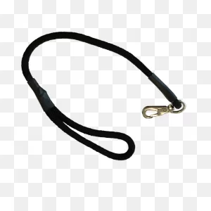Dog Training Leash