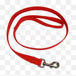 Heavy Nylon Leash