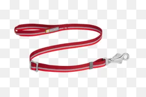 Patroller™ Dog Leash