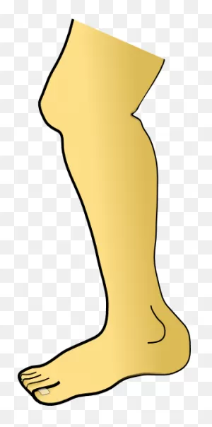 Free Legs Cliparts, Download Free Legs Cliparts Png Images, Free ClipartFlare.com 